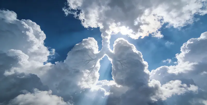 桂林肺癌12基因ctDNA突变检测(血液）图片1