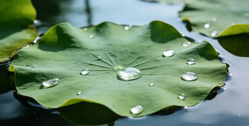 桂林乳腺癌21基因mRNA表达分析图片1